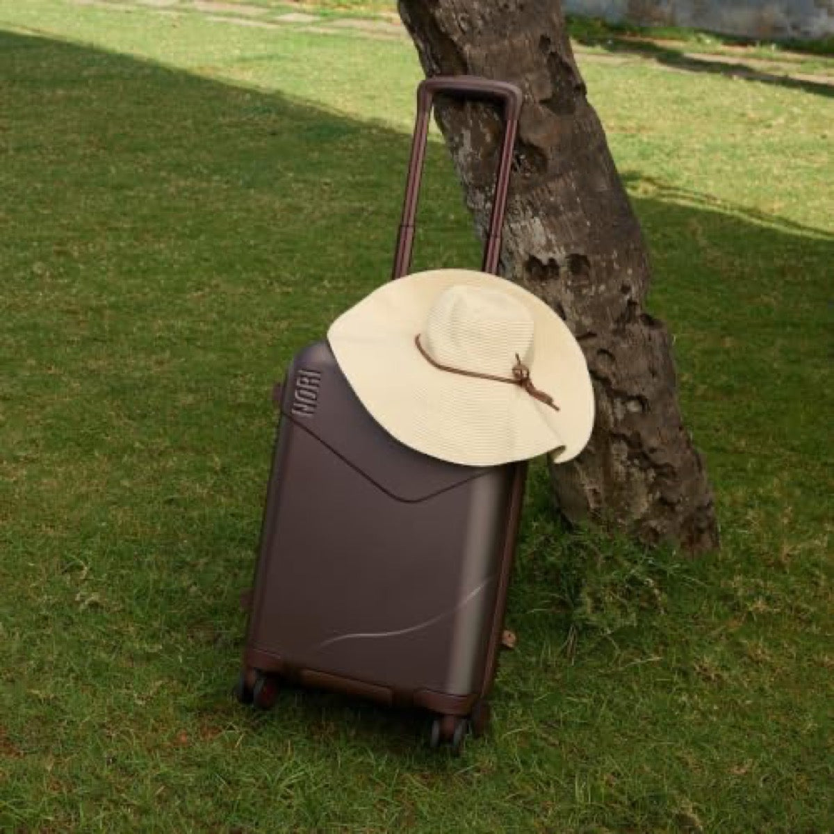 Buy it once.Outlast the trip.